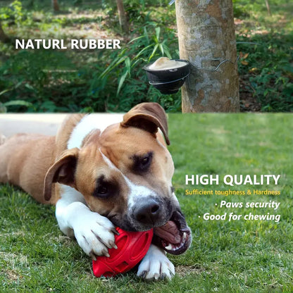 Durable Rubber Dog Toy with Squeaker