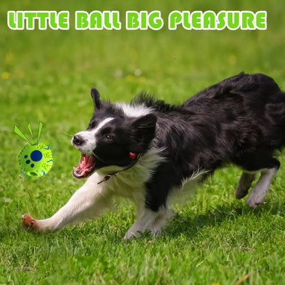 Interactive Wobble Giggle Chew Ball for Dogs