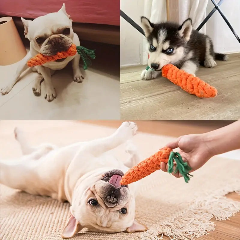 Puppy Chew Toys Set