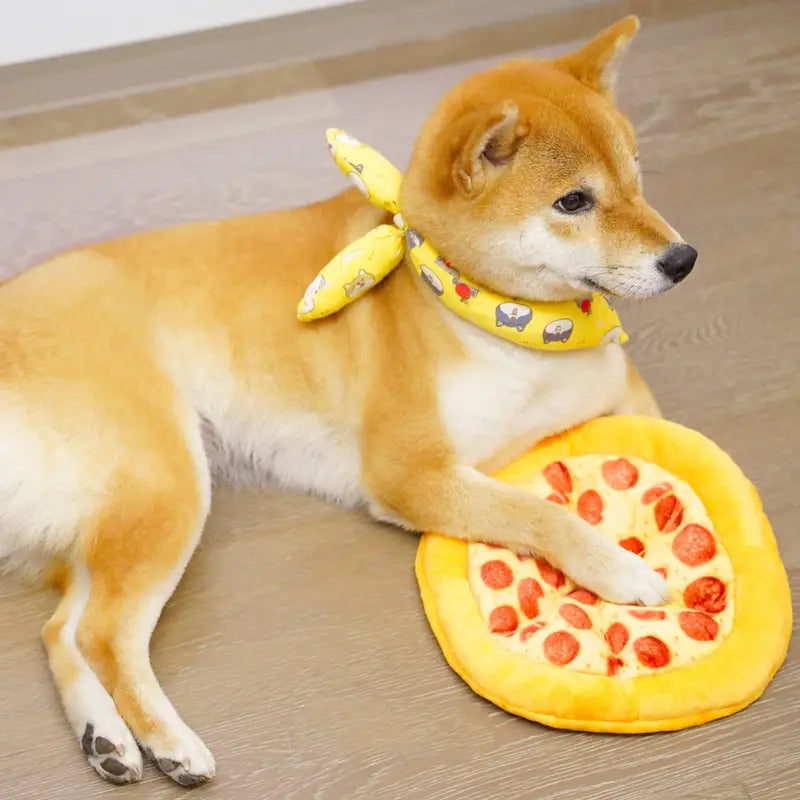 Pawsome Pizza Plush Pet Toy