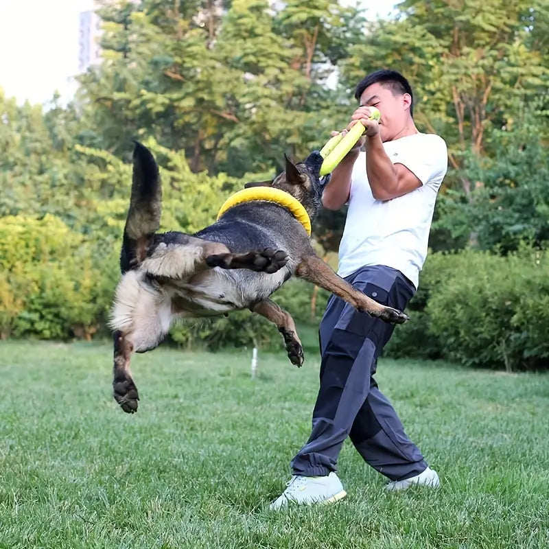 Durable Dog Flying Chewing Disc