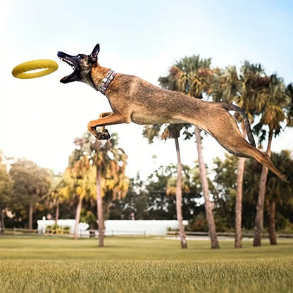 Durable Dog Flying Chewing Disc