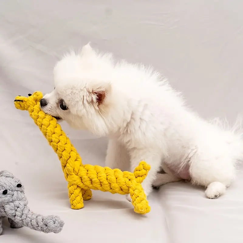 Puppy Chew Toys Set