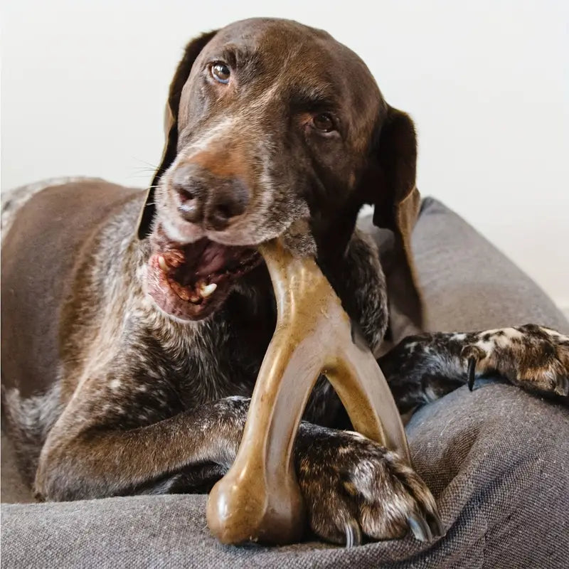 PowerChew Dog Bone Chew Toy