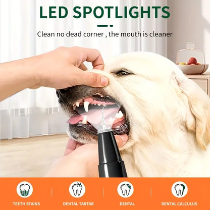 Waterproof LED Pet Teeth Cleaning Kit