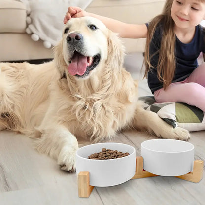 Ceramic Dog Bowl for Food and Water