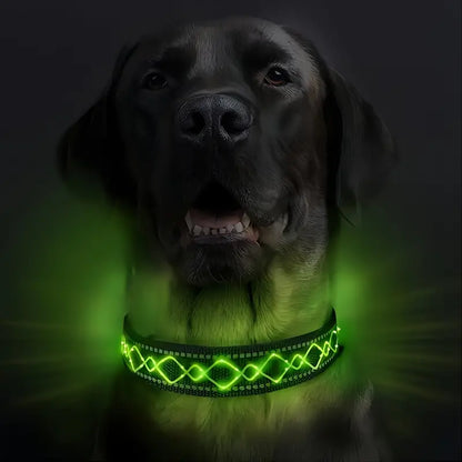 LumiPet USB Rechargeable LED Collar