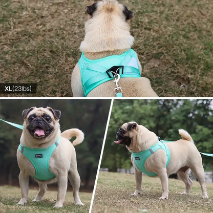 Breathable Reflective Dog Harness With Leash Set