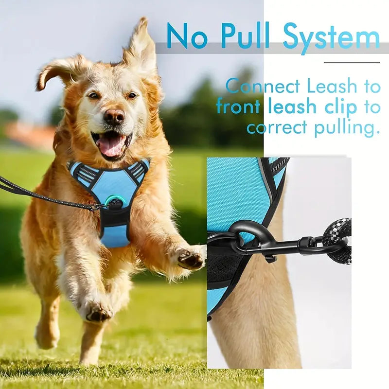 EscapeProof Adjustable Dog Harness Set