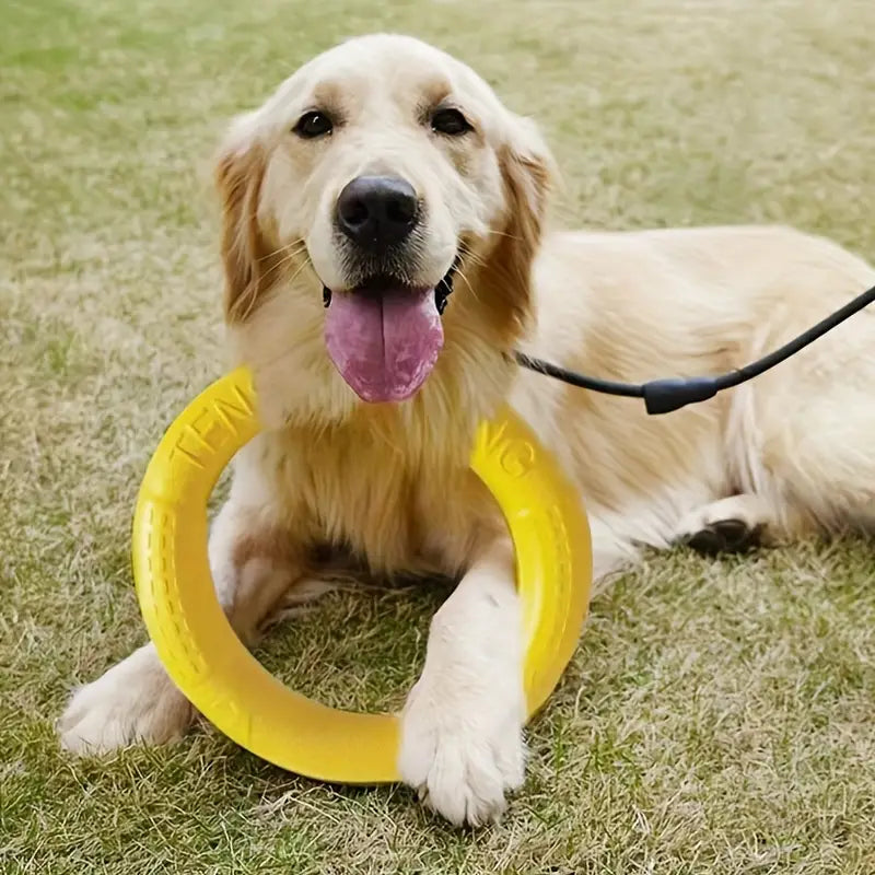 Durable Dog Flying Chewing Disc