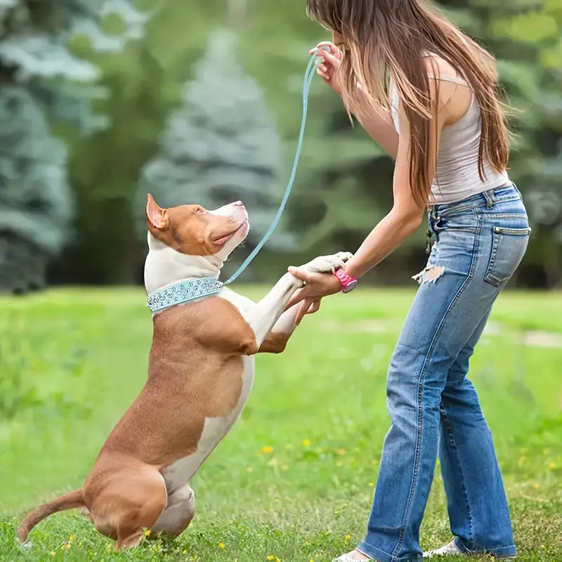 PawsGuard Spiked Leather Dog Collar and Leash Set