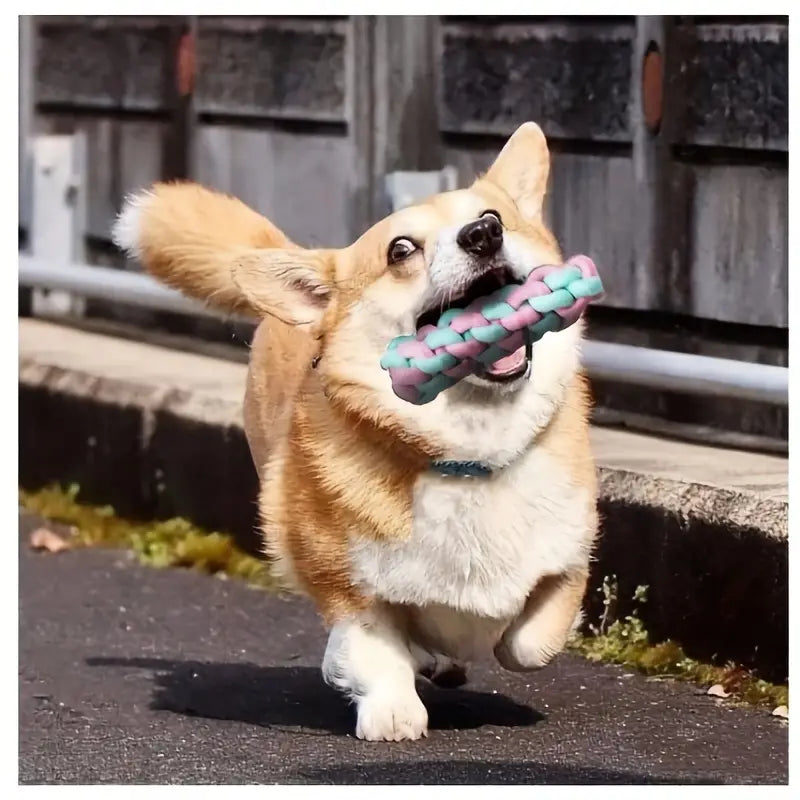 Dog Tug-of-War Rope Toy