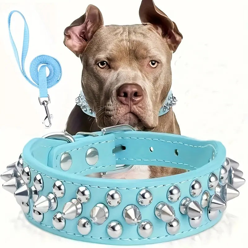 PawsGuard Spiked Leather Dog Collar and Leash Set