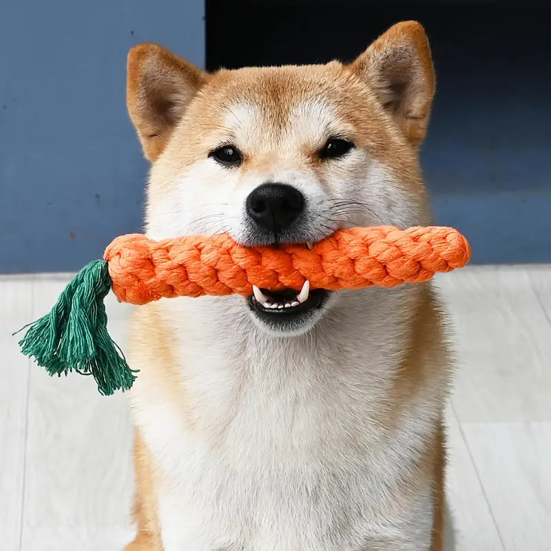 PawPet Carrot Dog Rope Toy