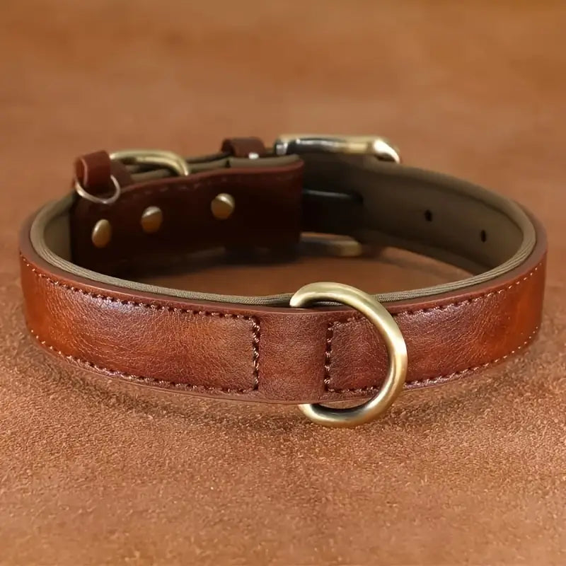 PawLux Leather Dog Collar