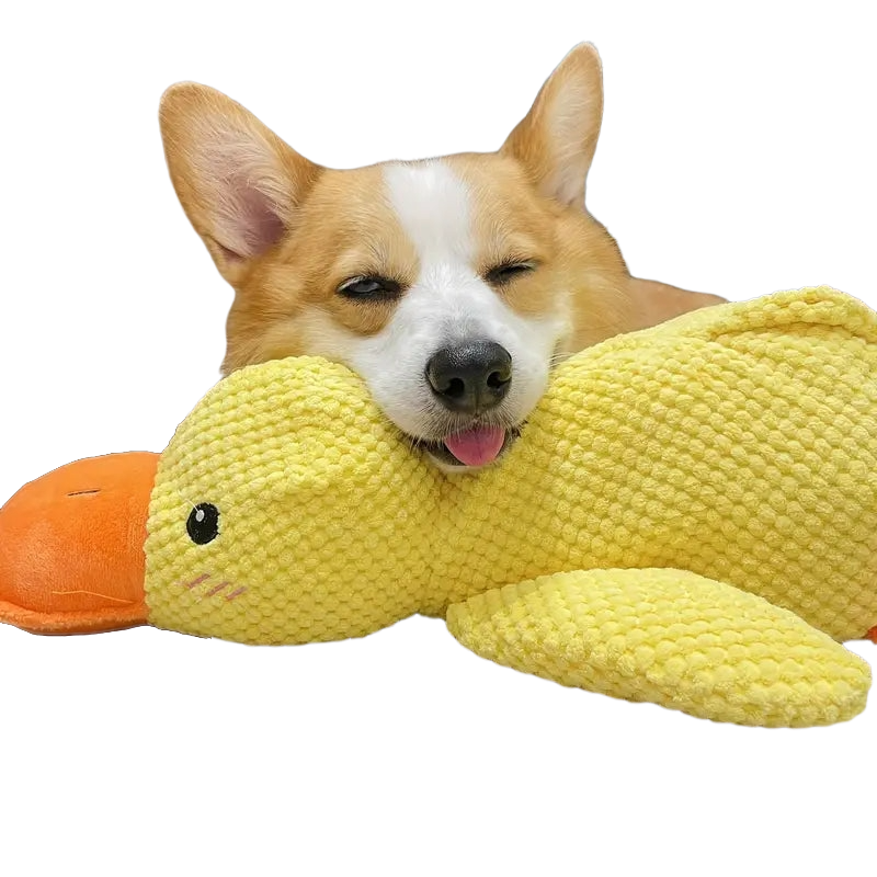 Durable Duck Design Squeaky Dog Toy